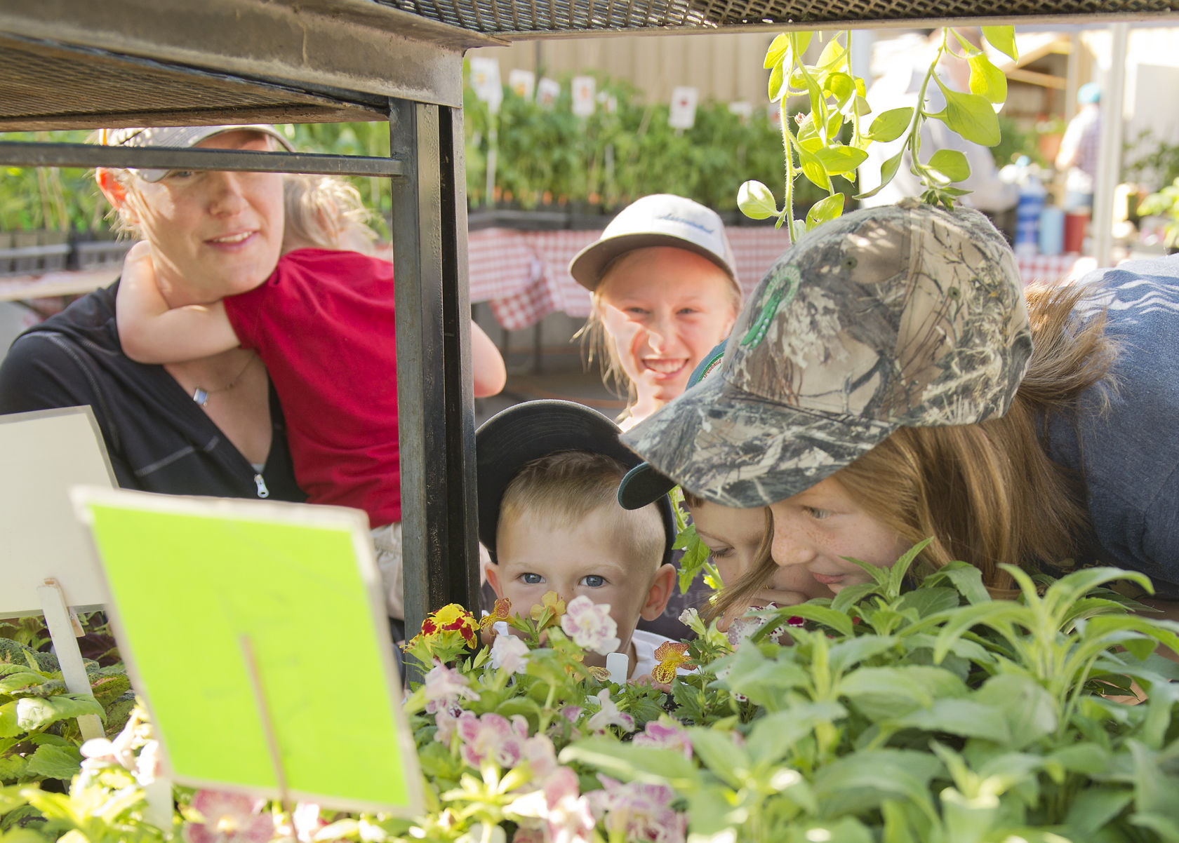 Local, home-grown market shopping